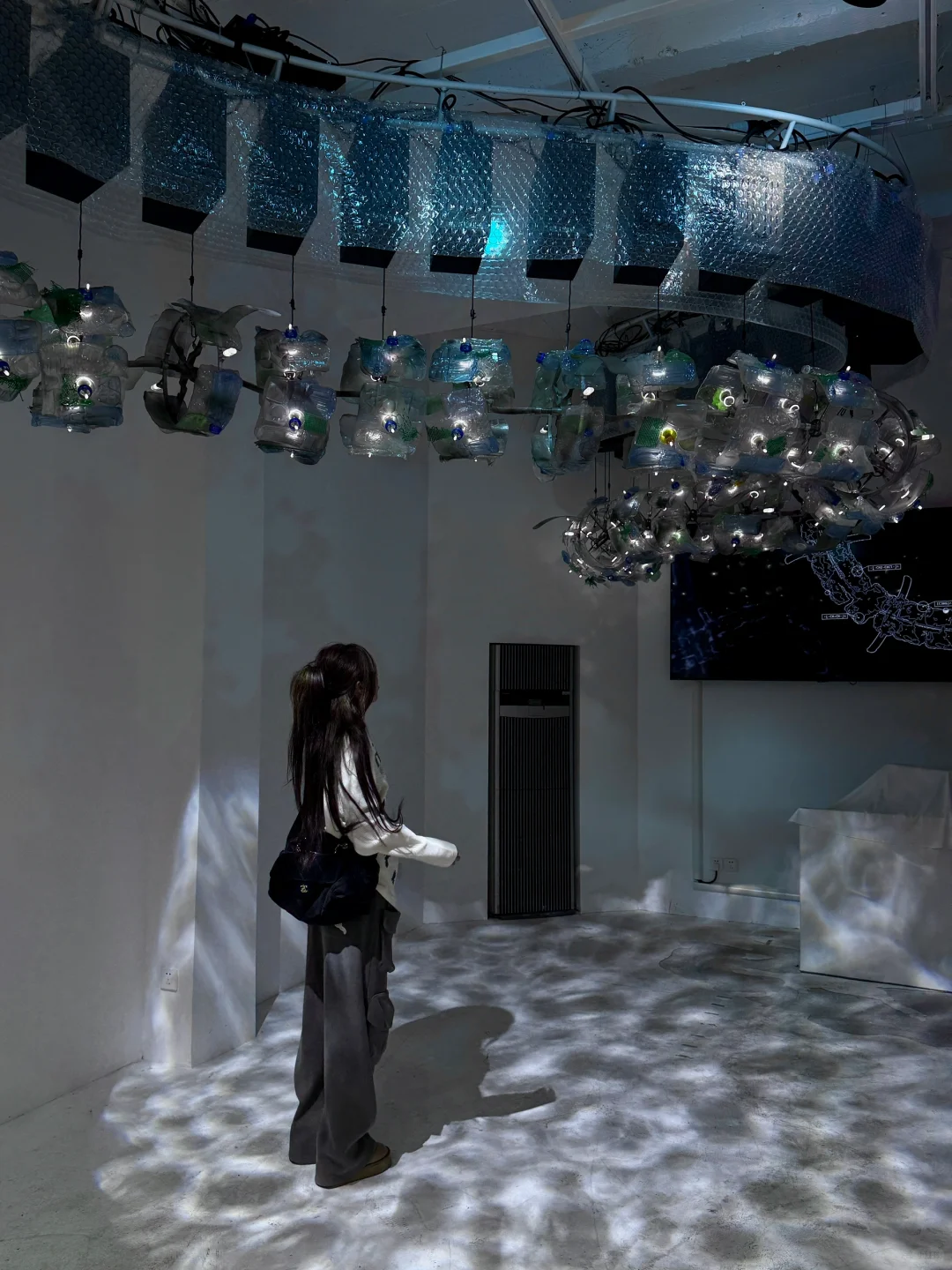 上海免费新展??️?Plankton