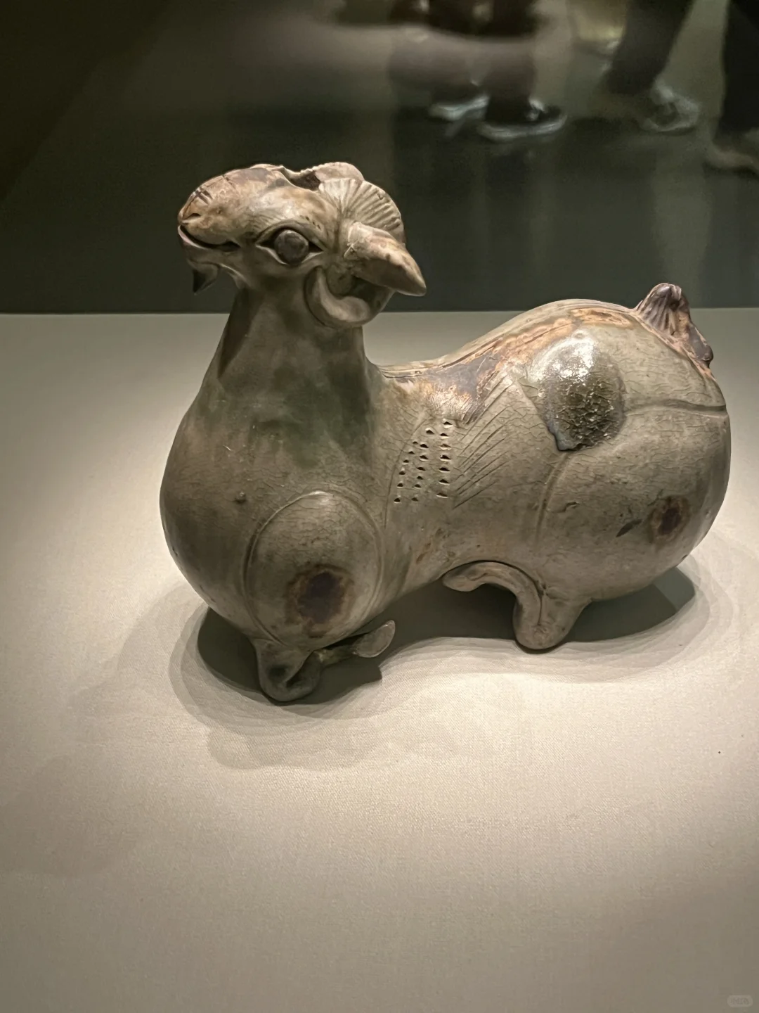 国博会惩罚每一个不做攻略的人