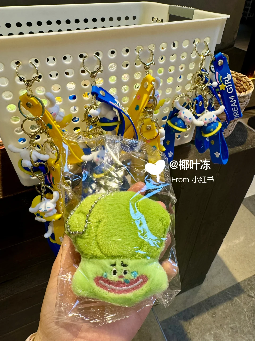 今日福田走走逛逛打卡随机?毛