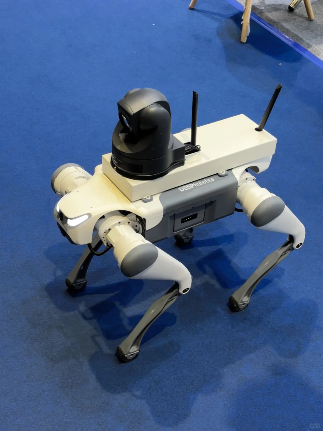 进博会逛吃大复盘｜现场偶遇?总裁版！