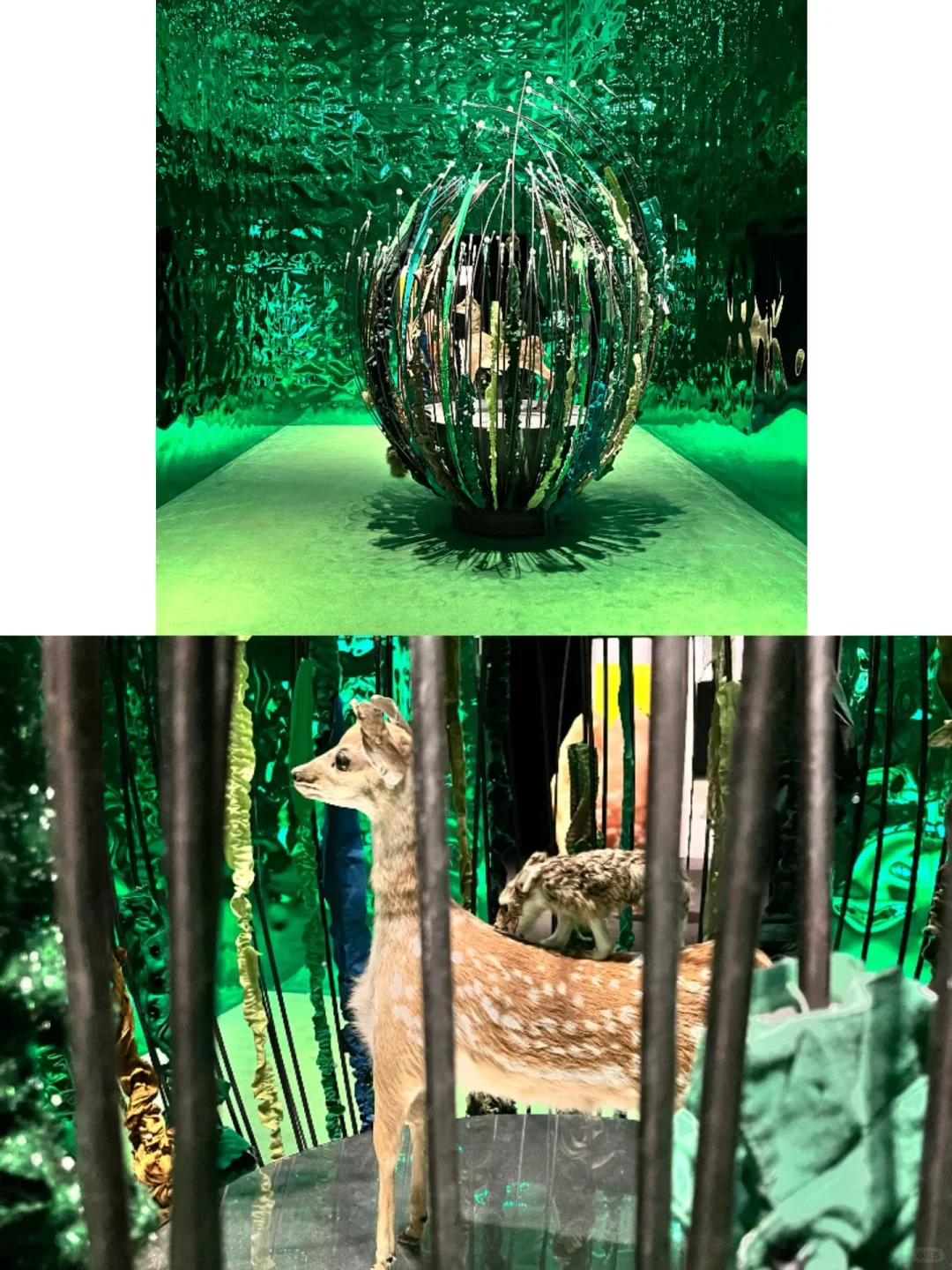 上海必看免费展‼️《刺天》详细观展指南?