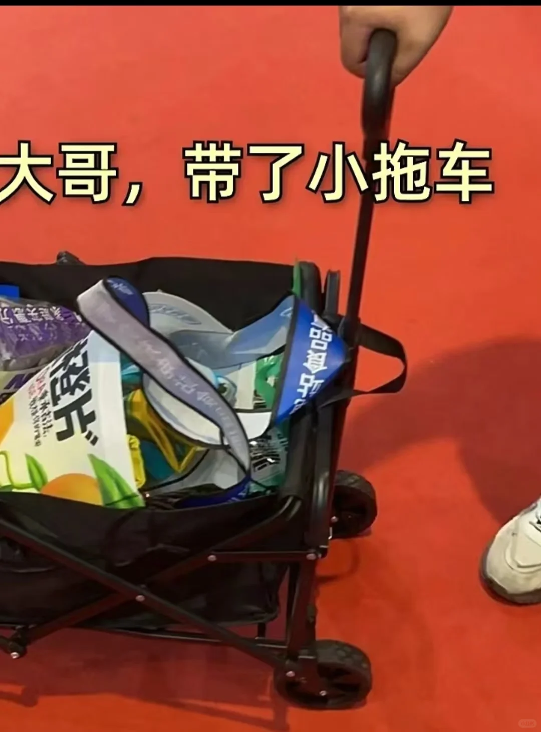 深圳本月新展 错过再等一年