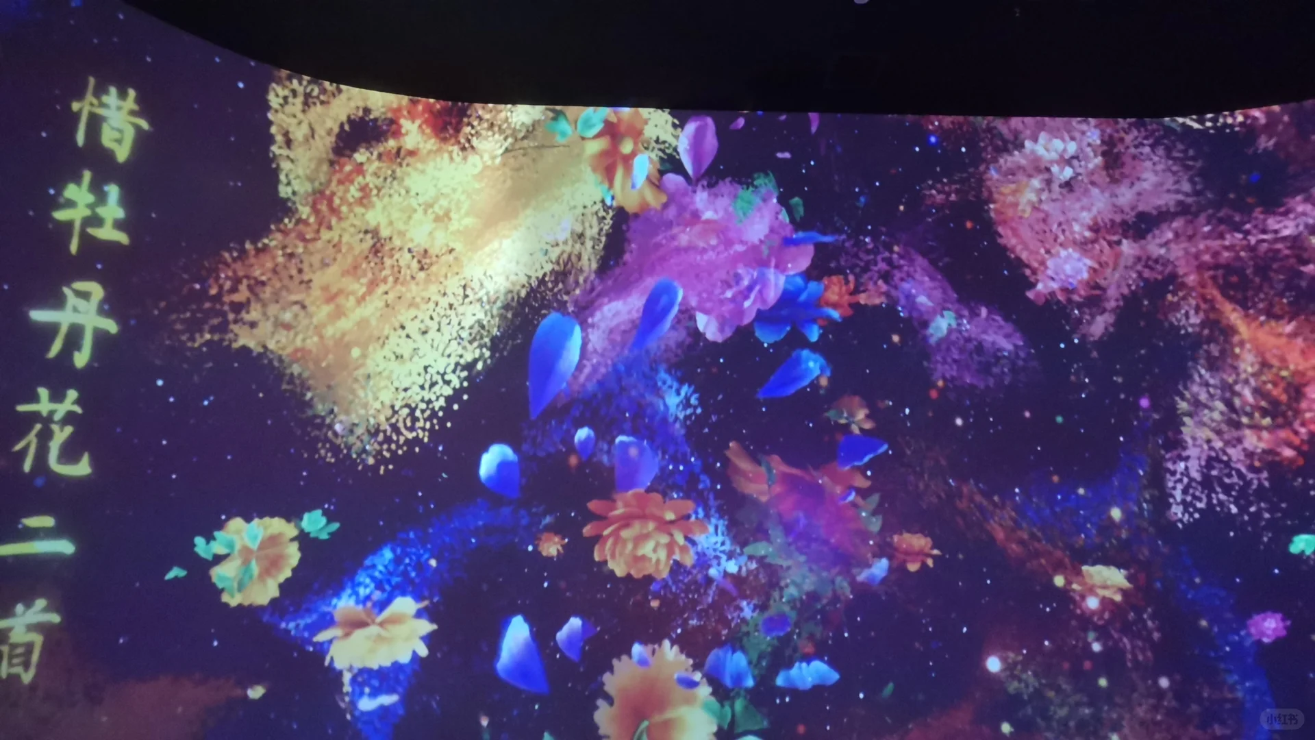 假如美的尽头是色彩的斑斓