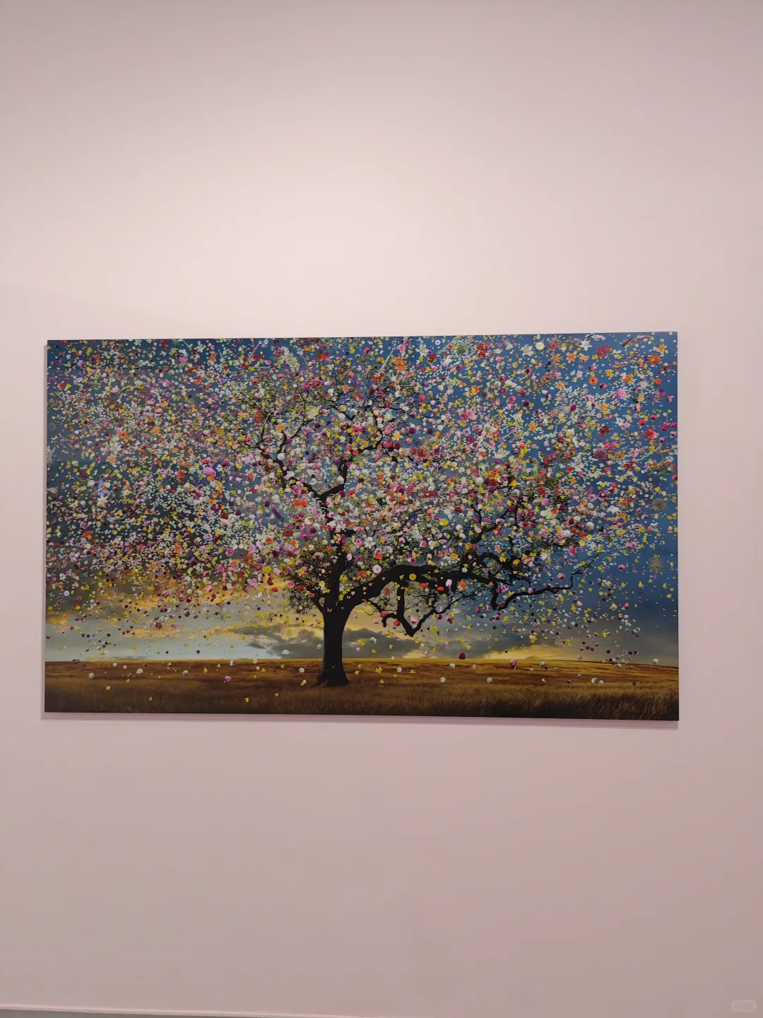 深圳逛展|左滑播放浪漫紫色专辑??