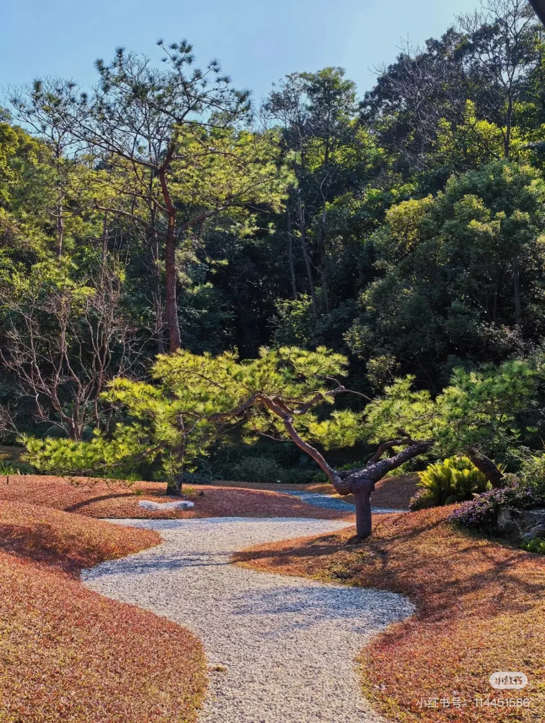 一起来天然氧吧~
