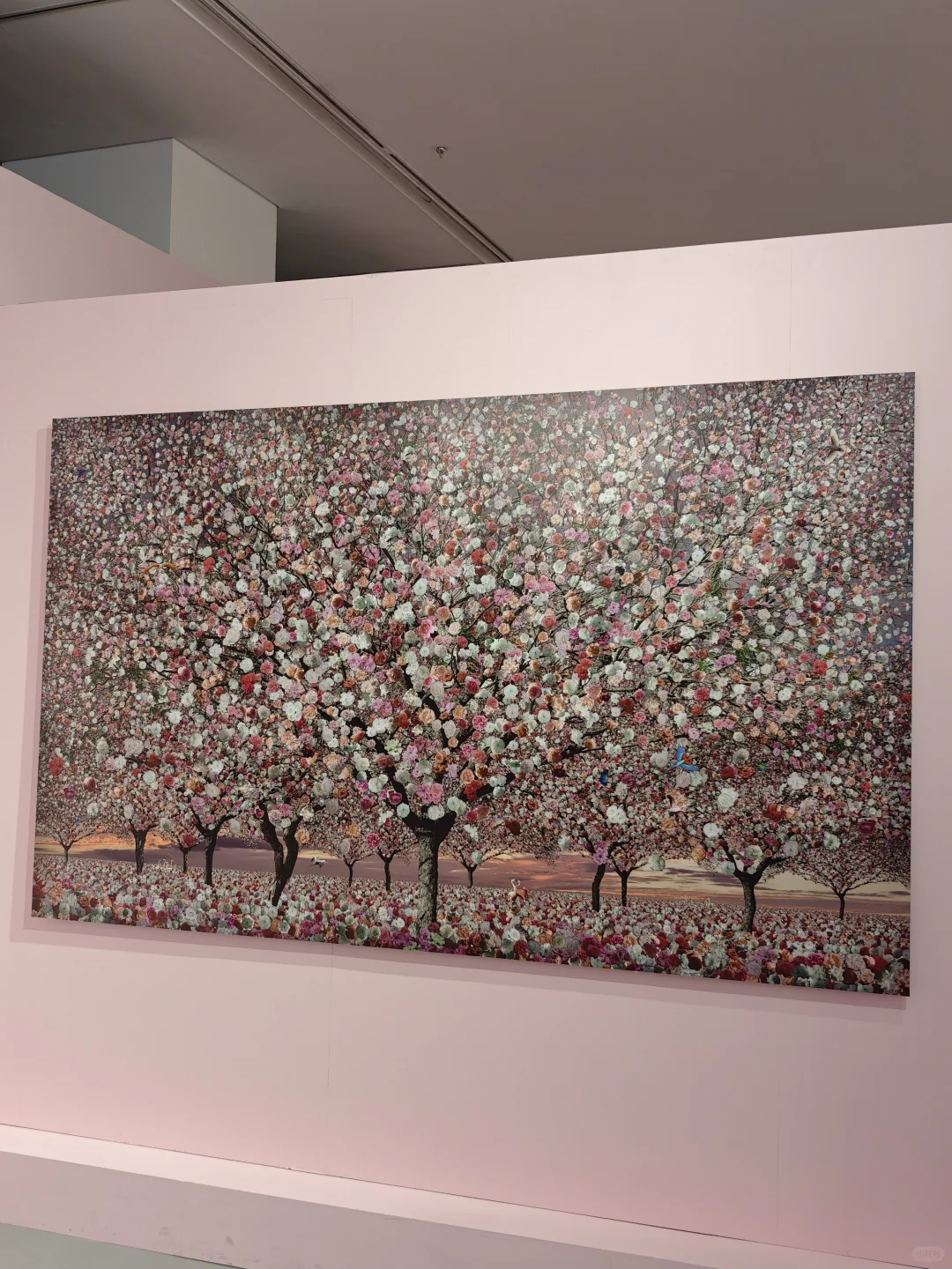 深圳逛展|左滑播放浪漫紫色专辑??