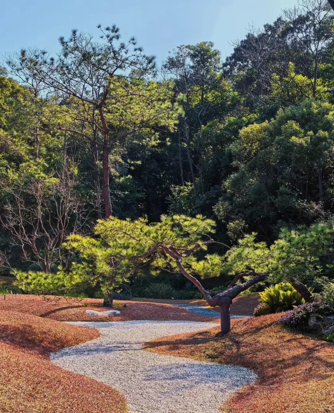 周末游一起来天然氧吧~
