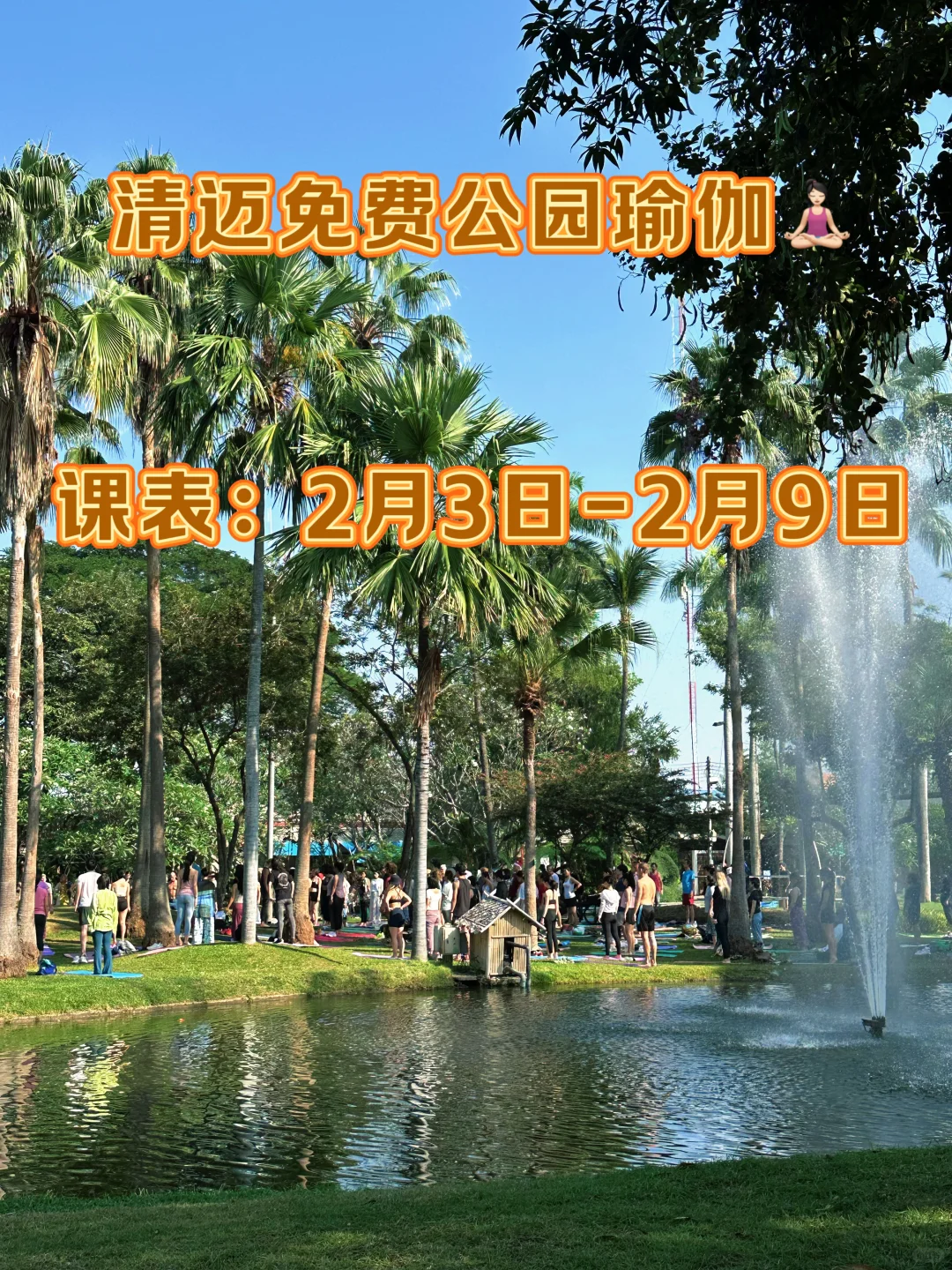 清迈免费瑜伽??‍♀️课表更新，请查收