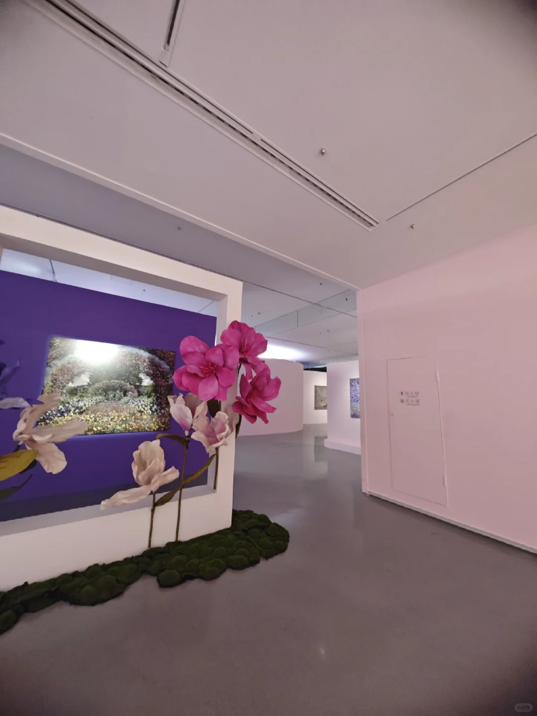 深圳逛展|左滑播放浪漫紫色专辑??