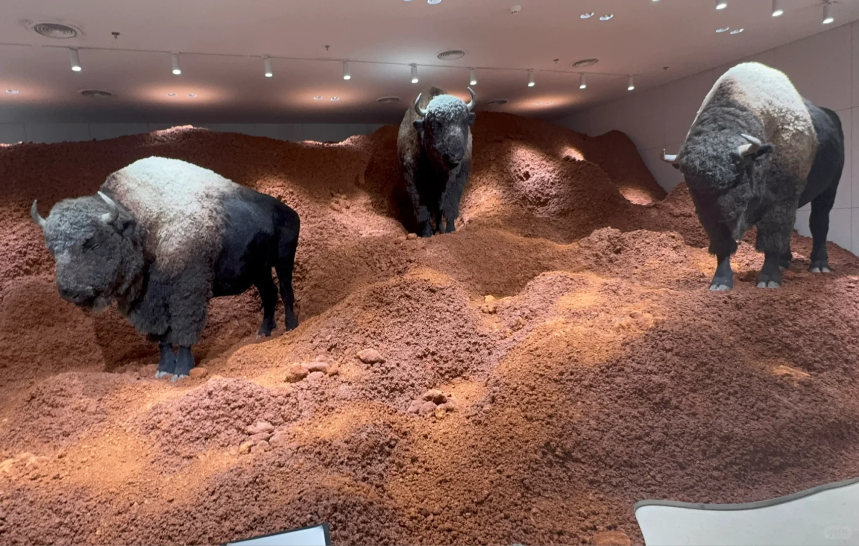 深圳万象天地巨人展