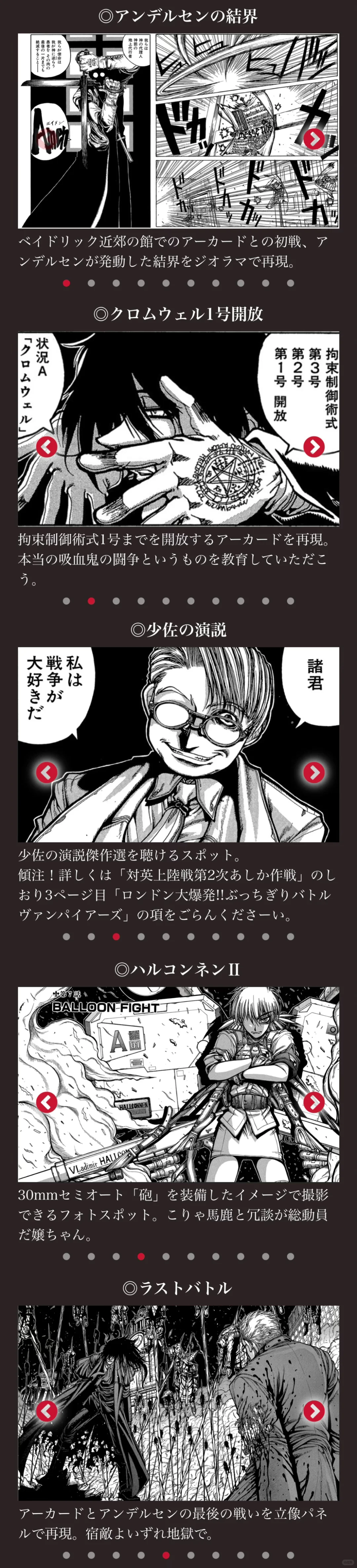 平野耕太大博览会