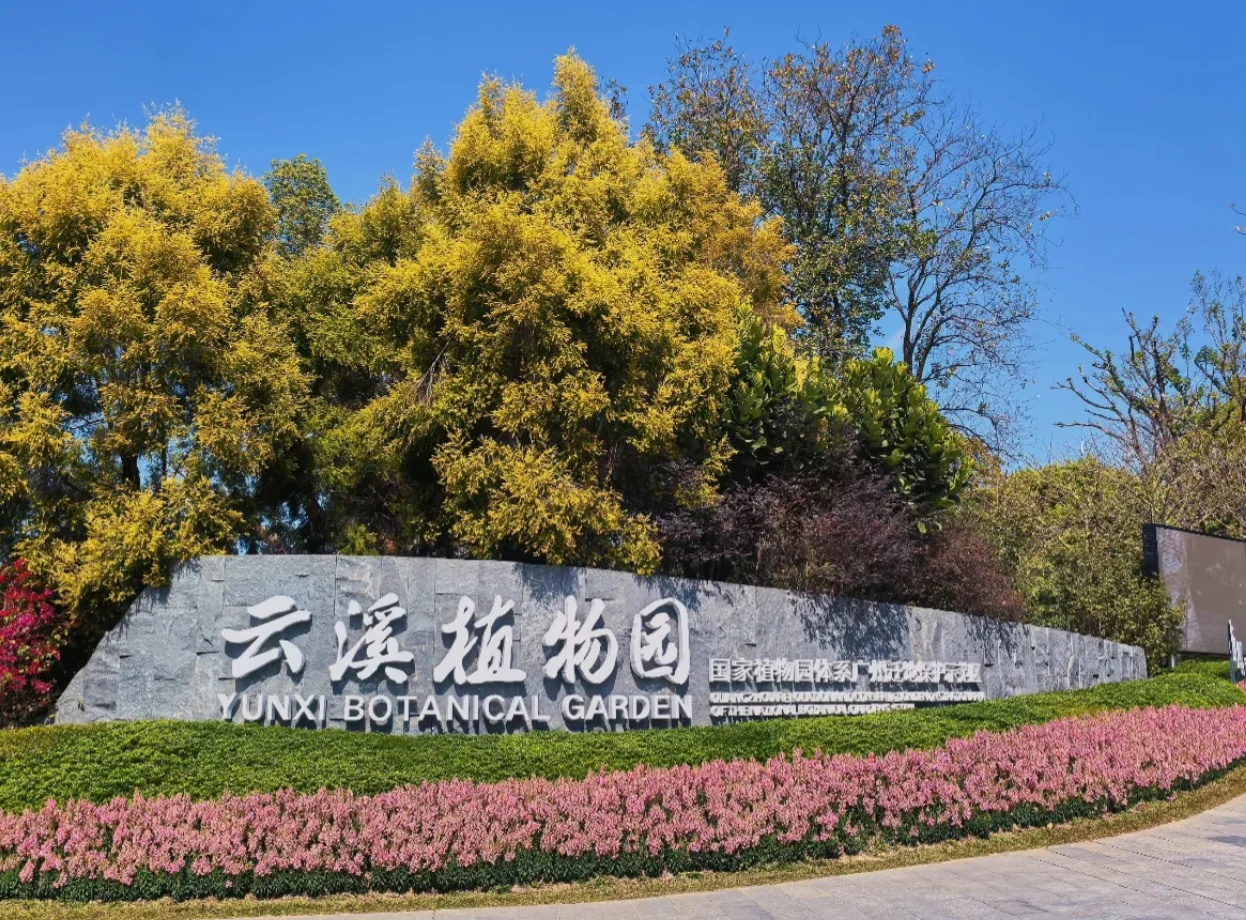 新春来云溪，欢乐又舒心~