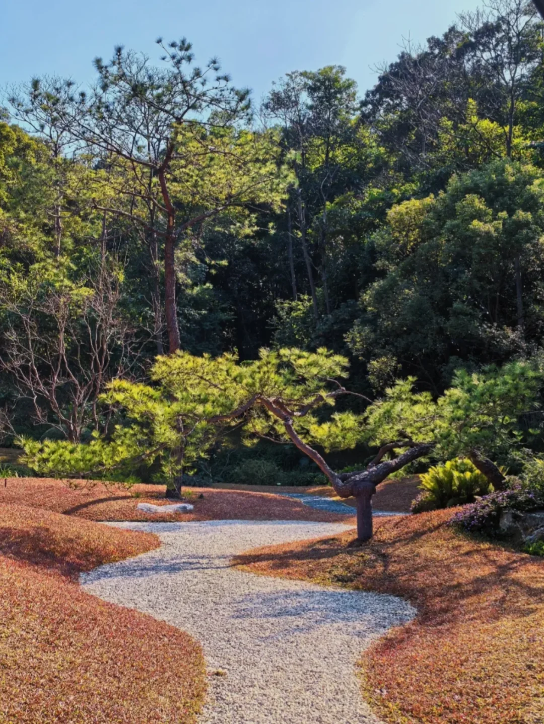 新春来云溪，欢乐又舒心~