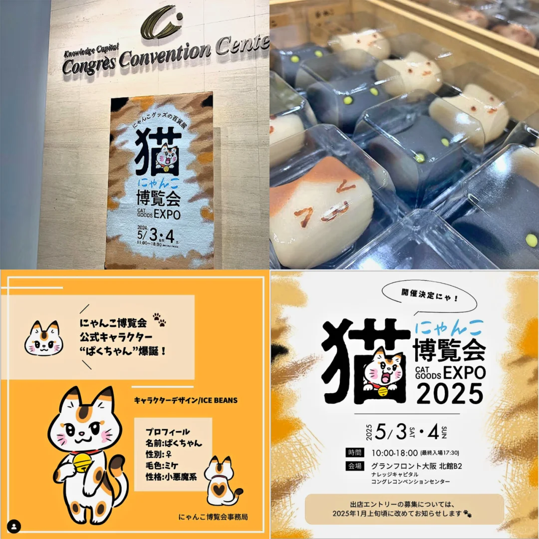 大阪｜猫にゃんこ博覧会2025??✨