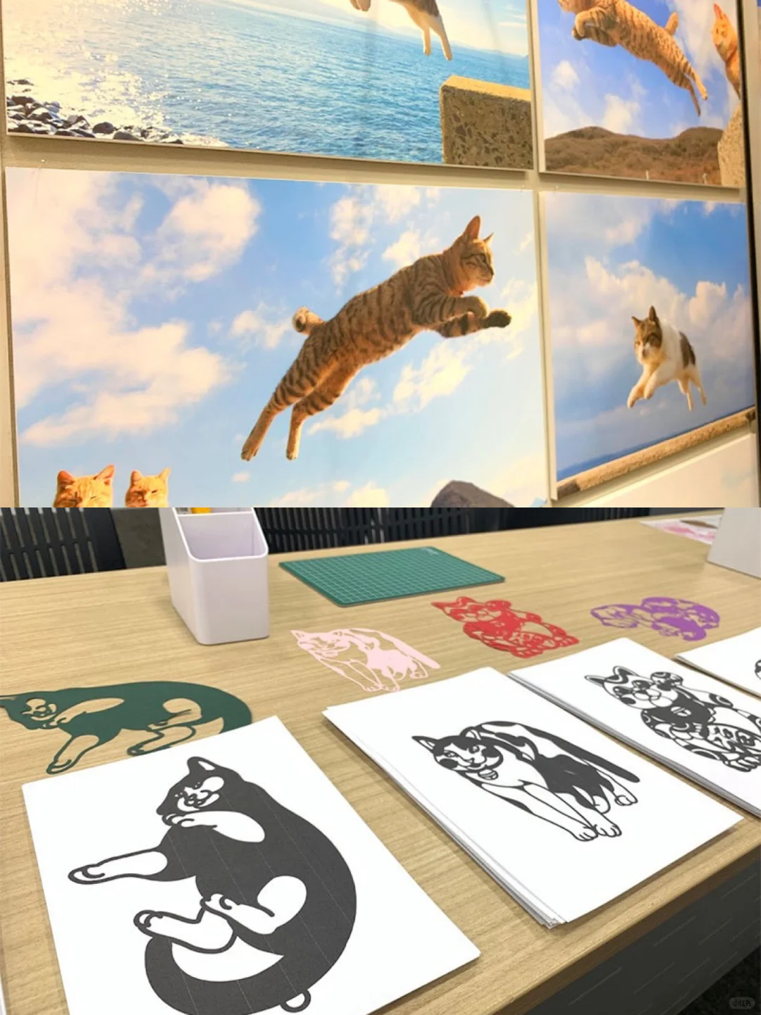 ??2025年大阪猫咪主题博览会攻略