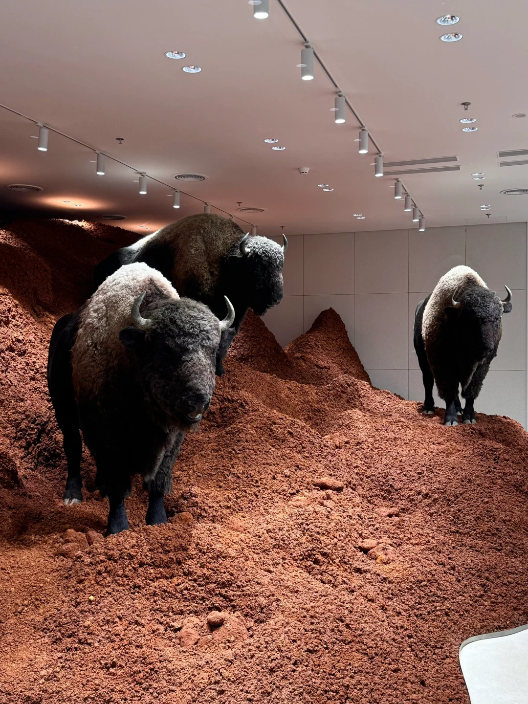 千万不要上四楼 会有恐怖的事情发生