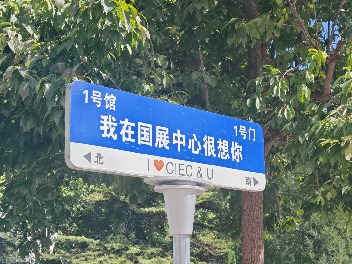 替学校去采购（蹭吃蹭喝）去了……