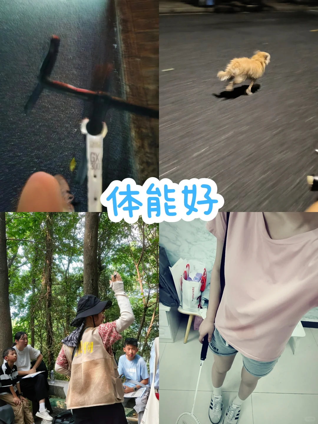 如何入行会展？了解详情