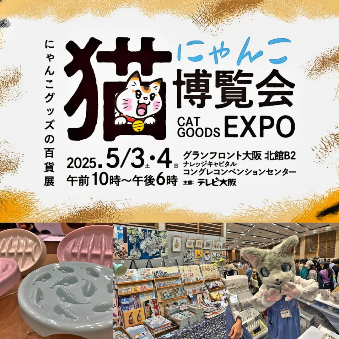 大阪｜猫にゃんこ博覧会2025??✨