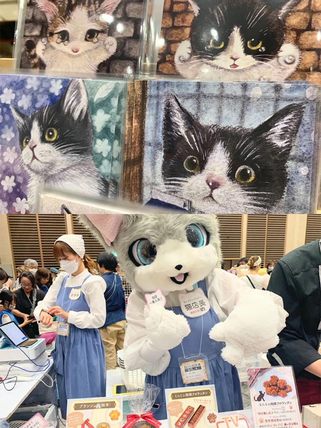 ??2025年大阪猫咪主题博览会攻略