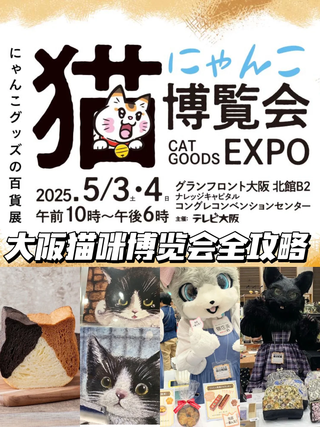??2025年大阪猫咪主题博览会攻略