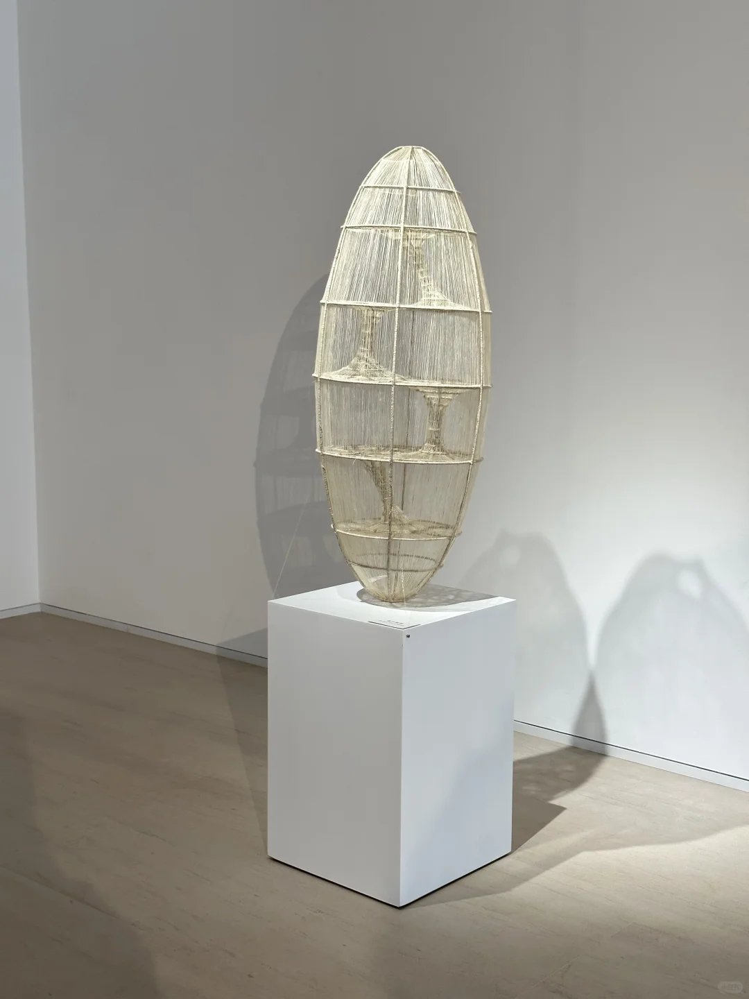 北京1、2月FREE展,必看有趣的小众展合集!