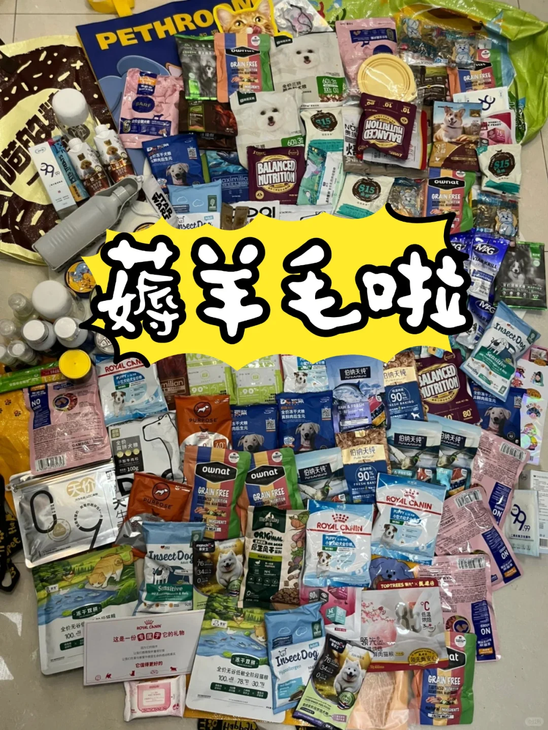 限时免费门票?2025北京宠物展逛展攻略