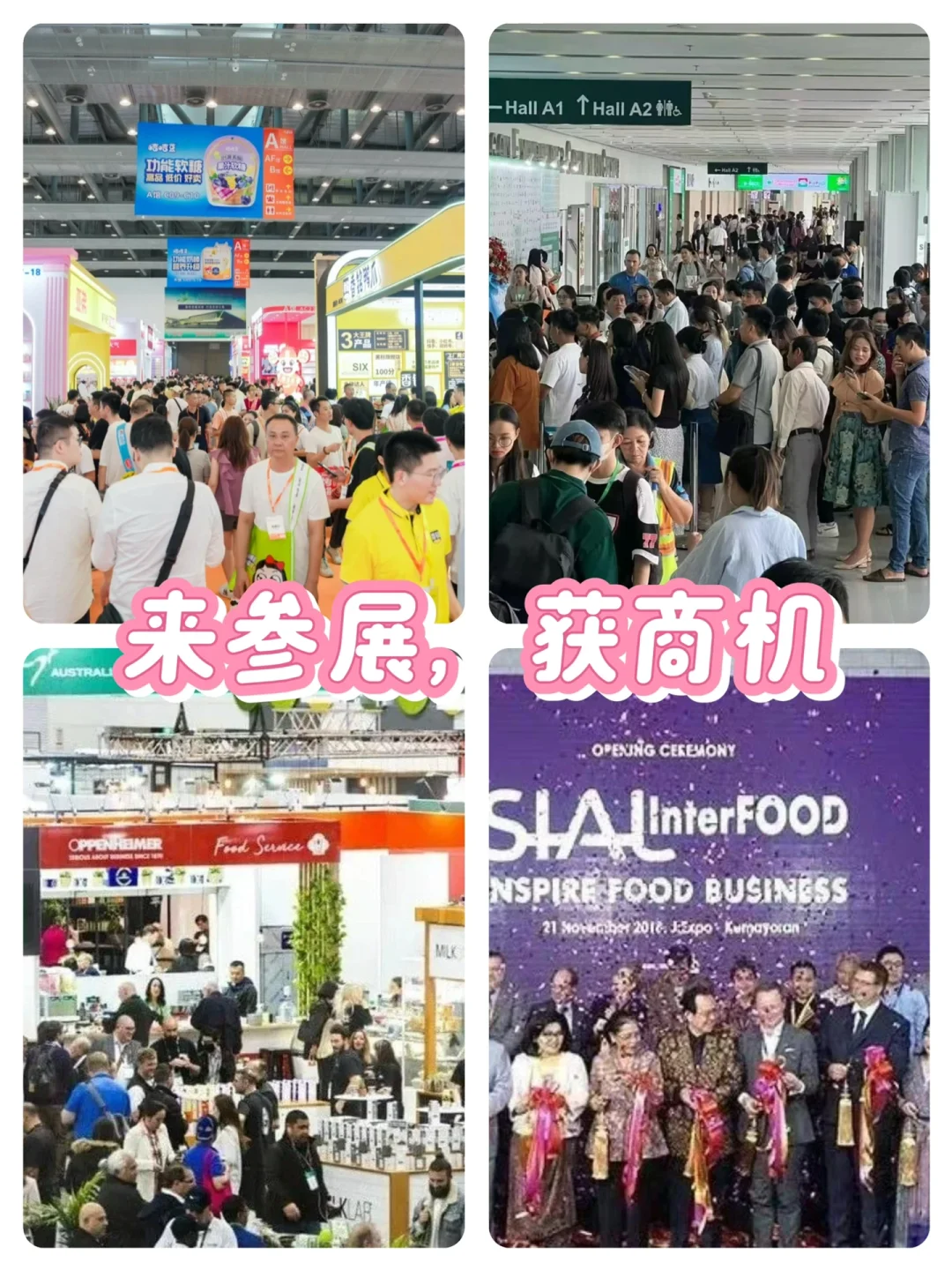 ?【2025年全球美食盛宴，展会推广计划开启！】