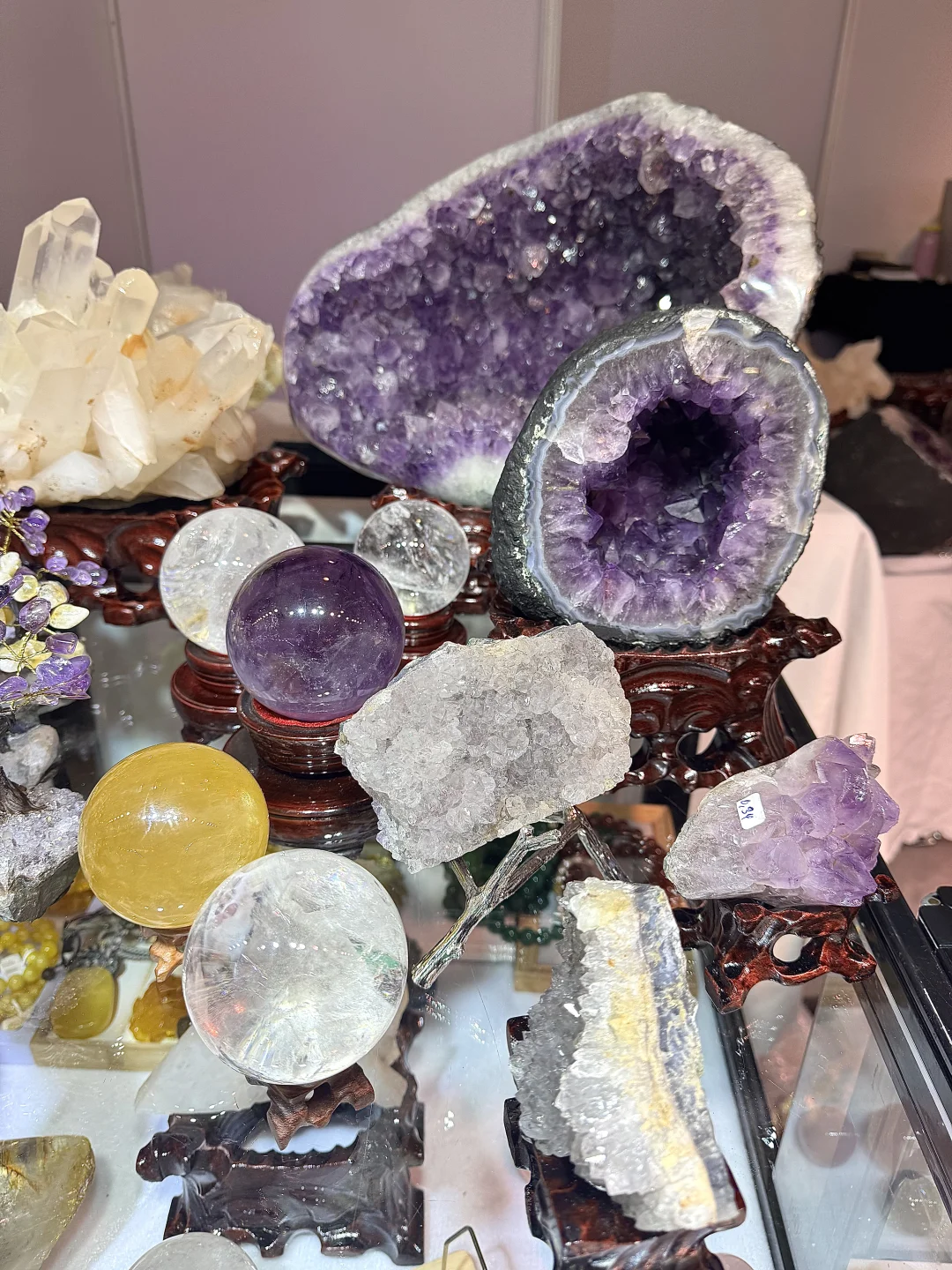 上海免费看展 | ?邂逅珠宝绮丽之美✨