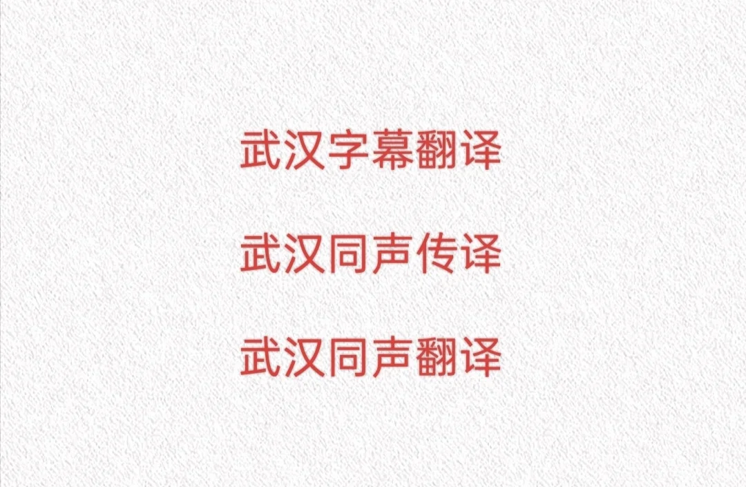 博览会展览会，经济论坛，武汉字幕翻译
