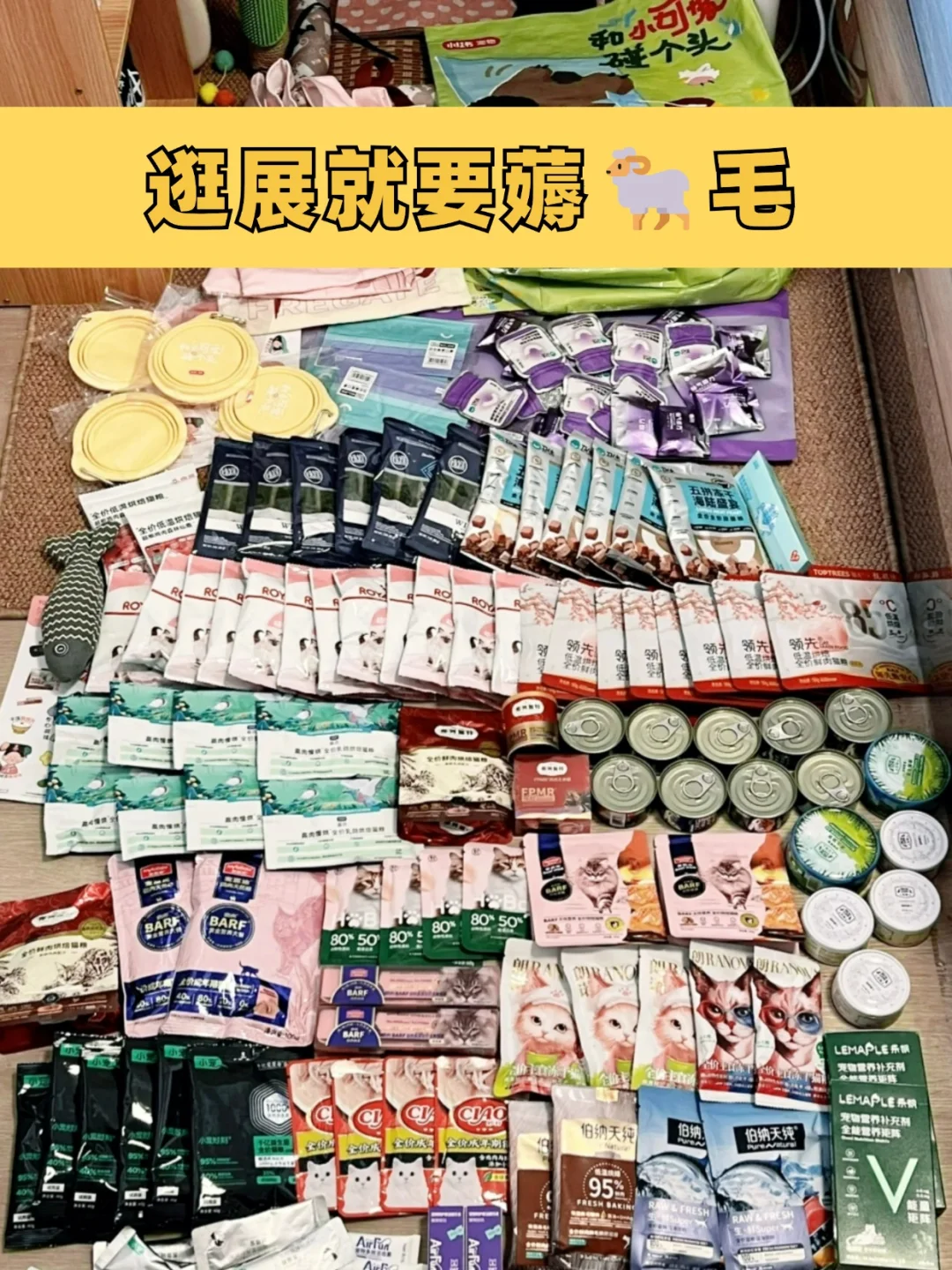 北京宠物展攻略?0元门票+必囤清单