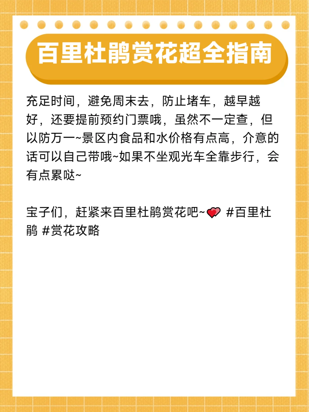 百里杜鹃赏花指南/3-5月来贵州必看景点
