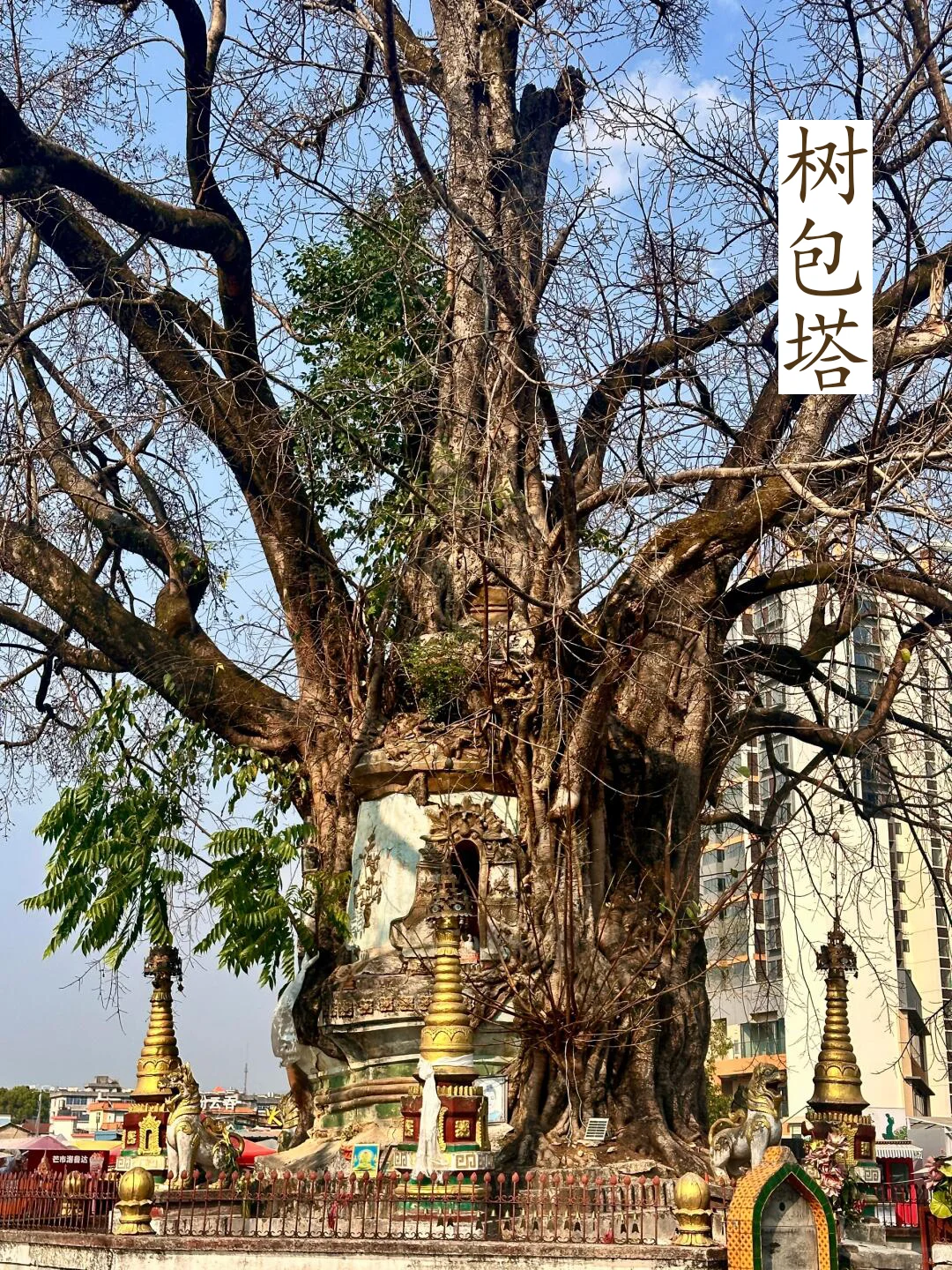 芒市景点简介