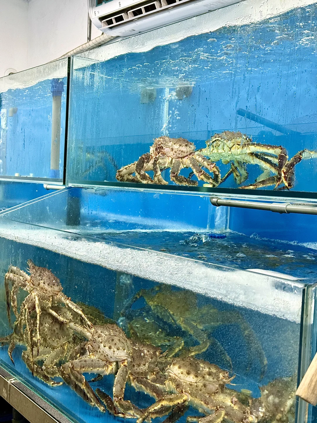 高端大气上档次！天花板level?