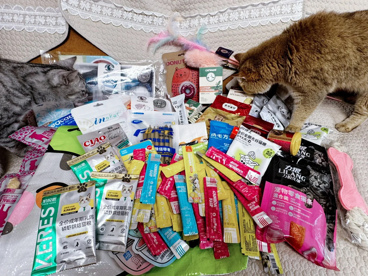 2025京宠展替大家来过啦?打猎满载而归?