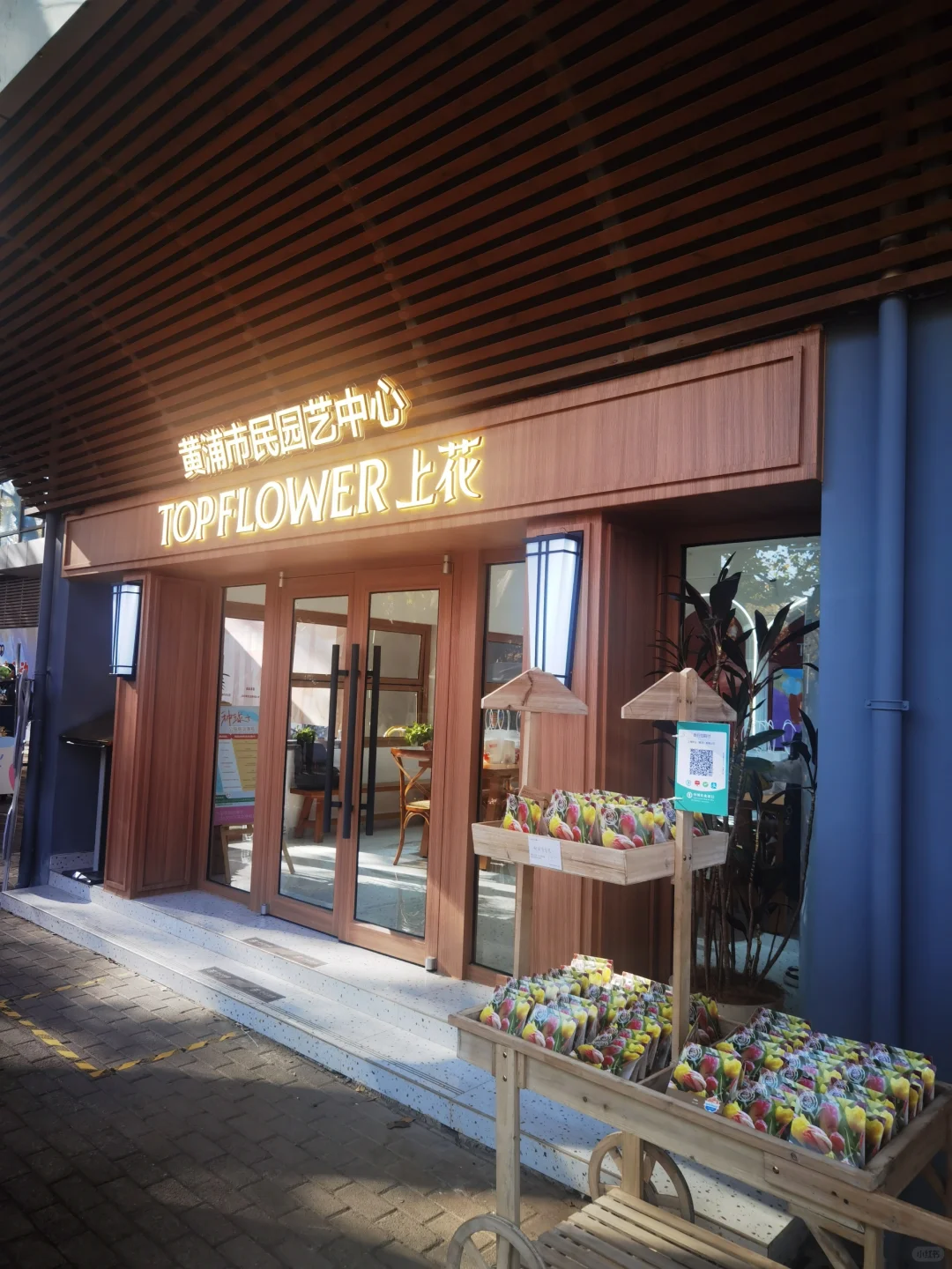 秋天与种球邂逅 期待Spring......