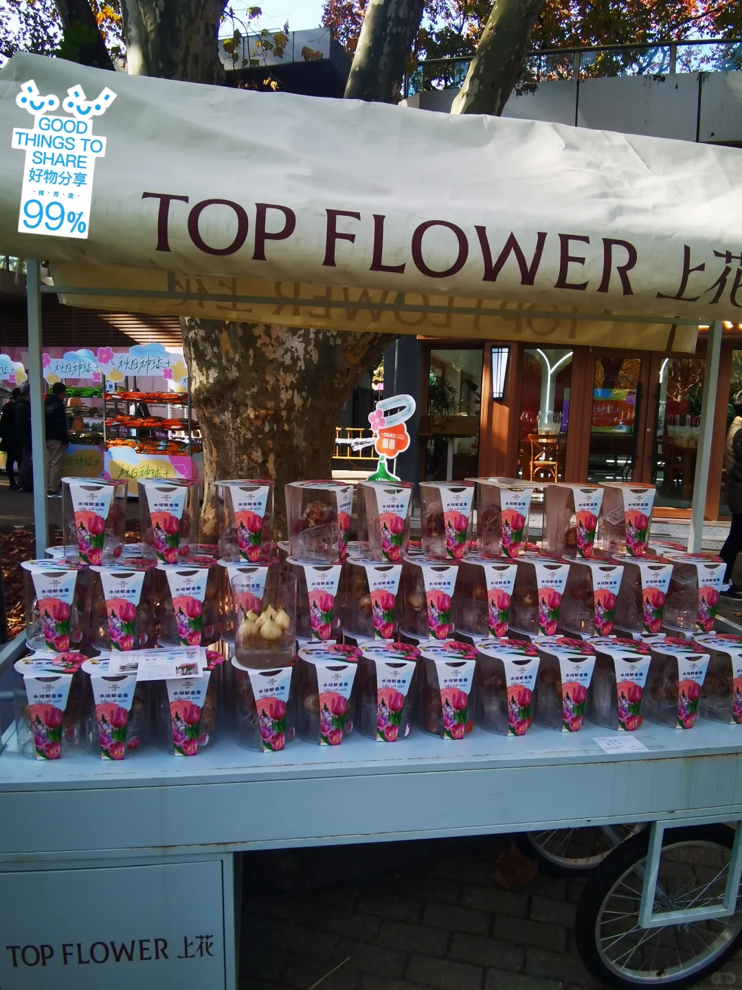 秋天与种球邂逅 期待Spring......