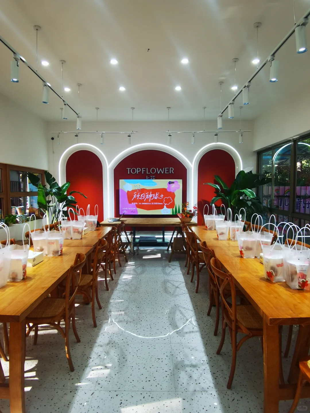 秋天与种球邂逅 期待Spring......