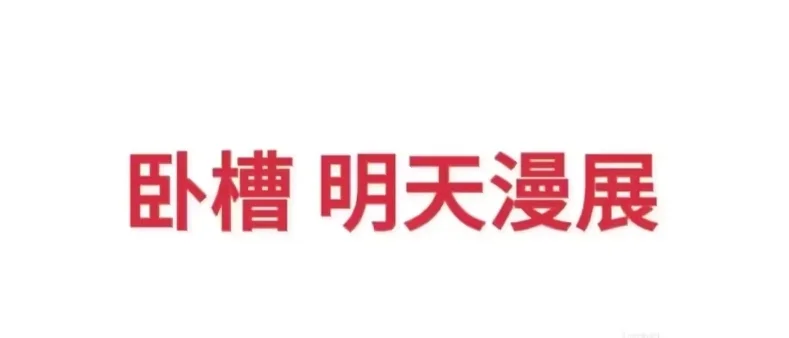 捞捞2.7/8去金陵文化博览会的coser老师
