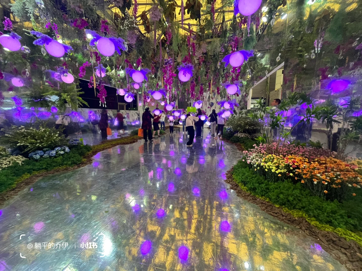 ?免费看展｜上海国际花卉园艺展打卡?