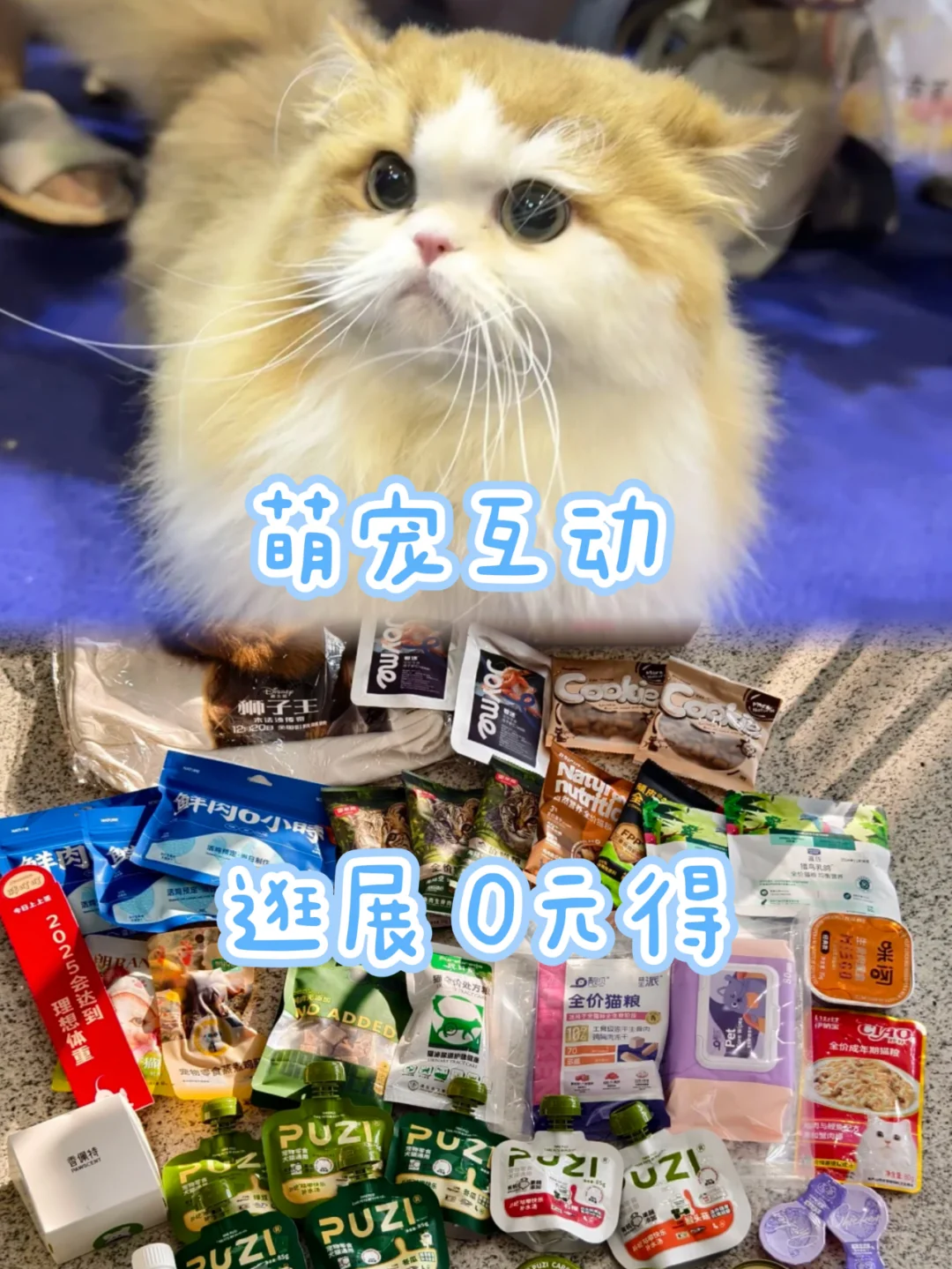 北京宠物展薅?毛！免费门票+逛展攻略