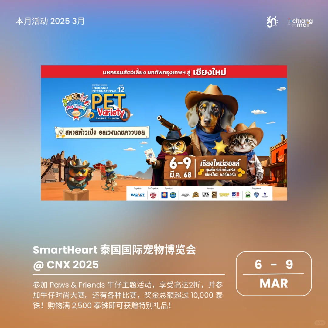 清迈2025年3月活动大型活动集合！