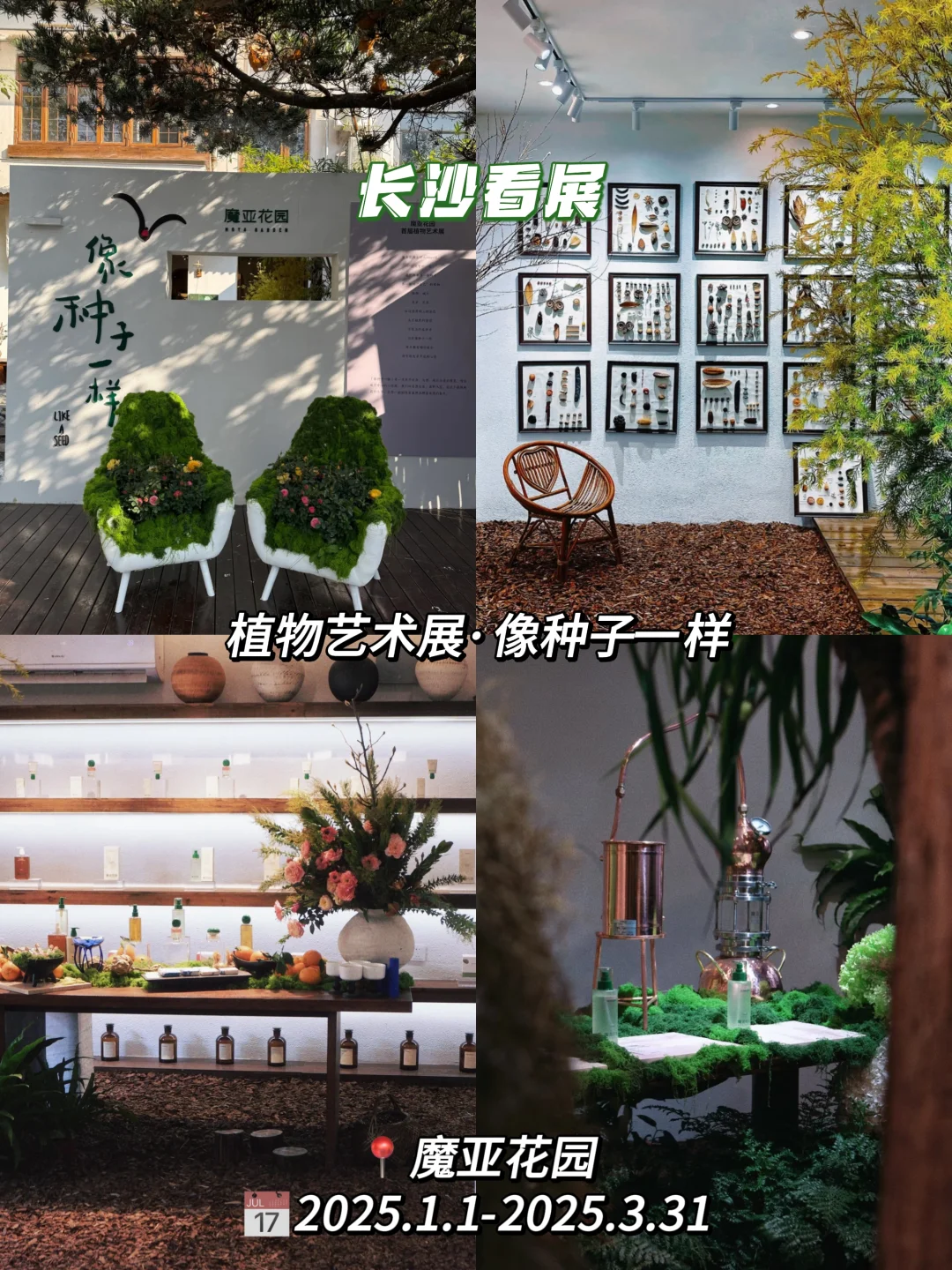 2025年长沙三月展览整理好了?快来看