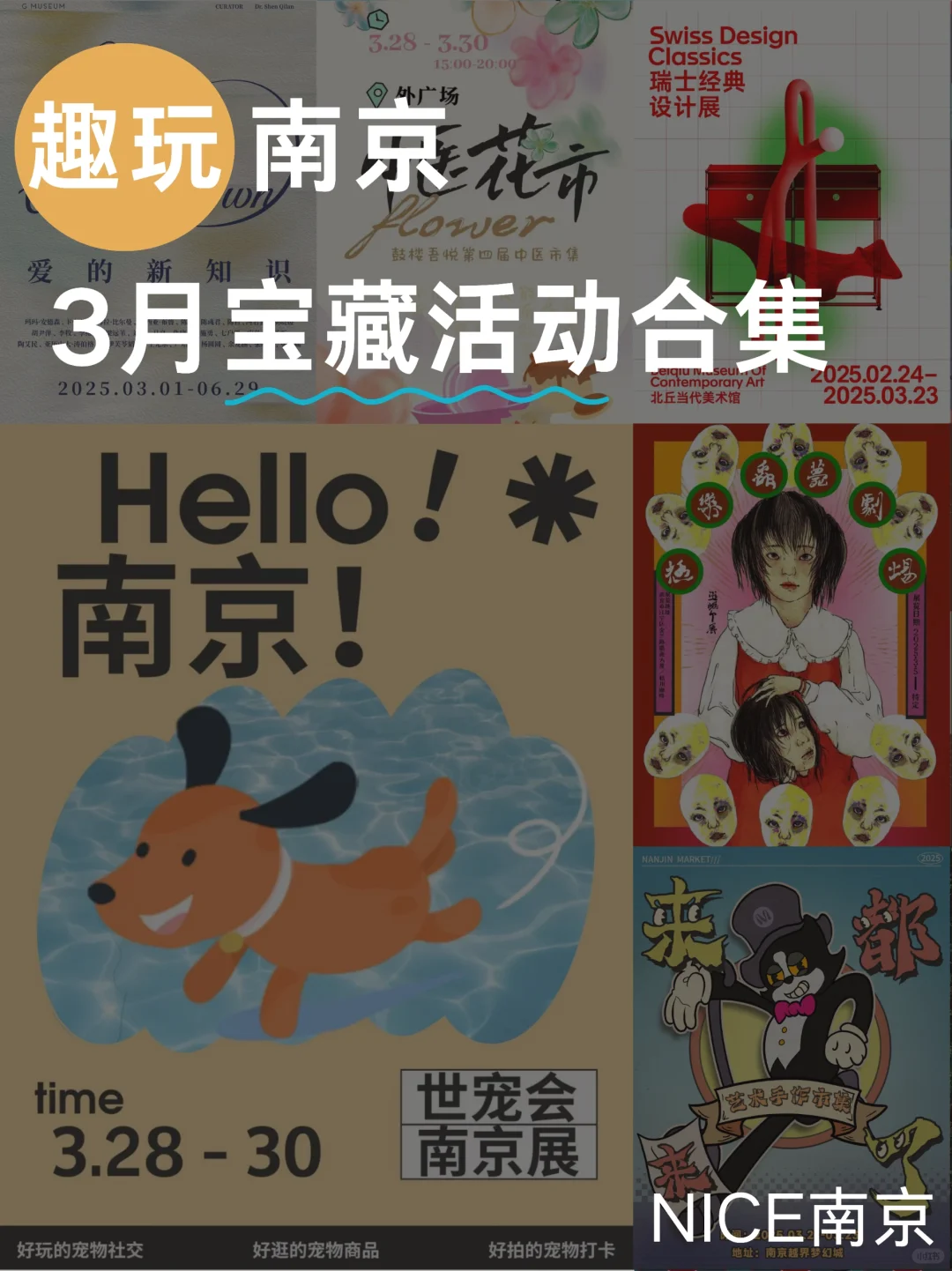 趣玩南京｜3月宝藏活动抢先看?