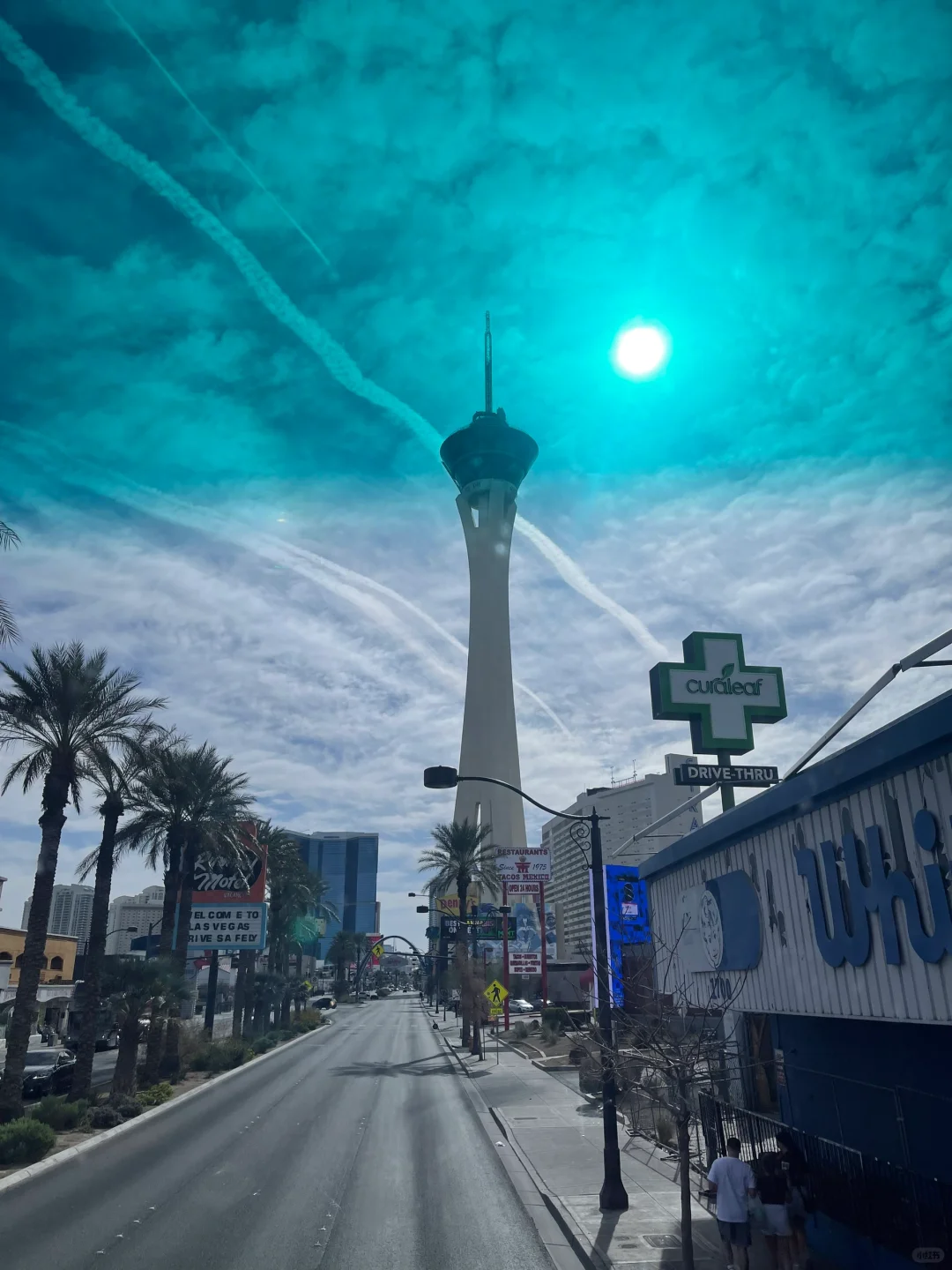 来Las Vegas参加展会