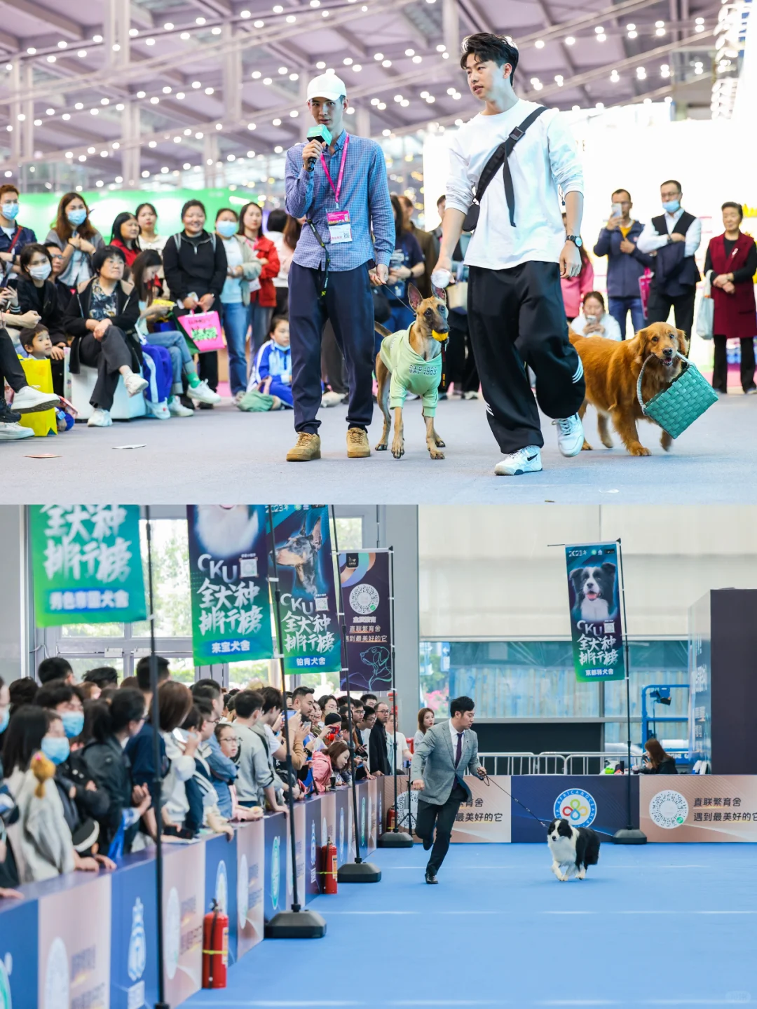 疯了疯了！13届深宠展来了！不去后悔一整年