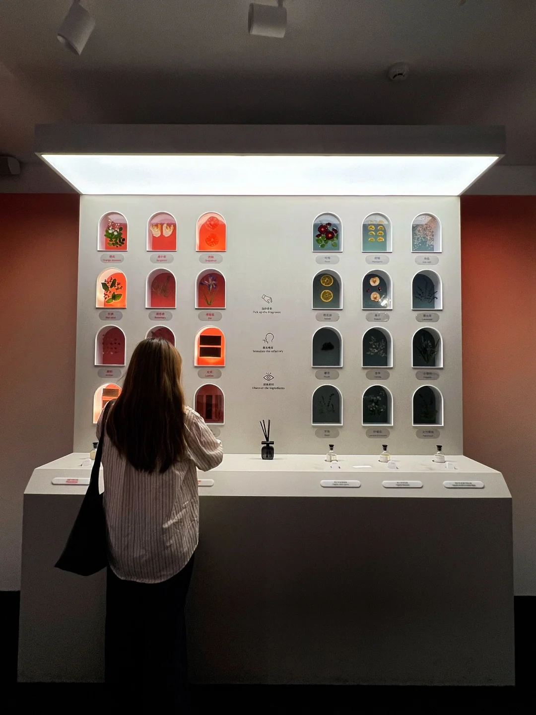 深圳新展｜免费?！！超级出片！（附机位