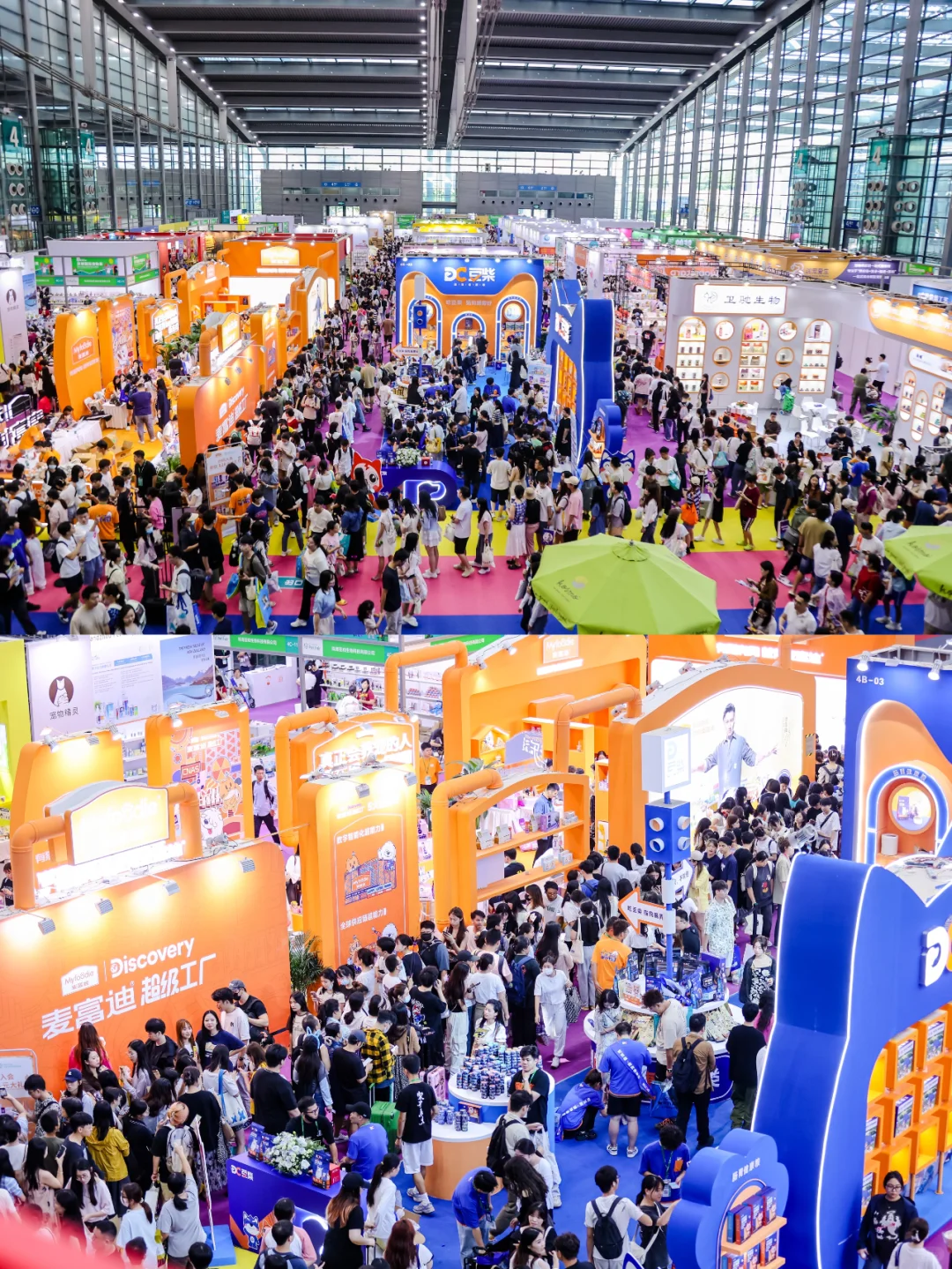 疯了疯了！13届深宠展来了！不去后悔一整年