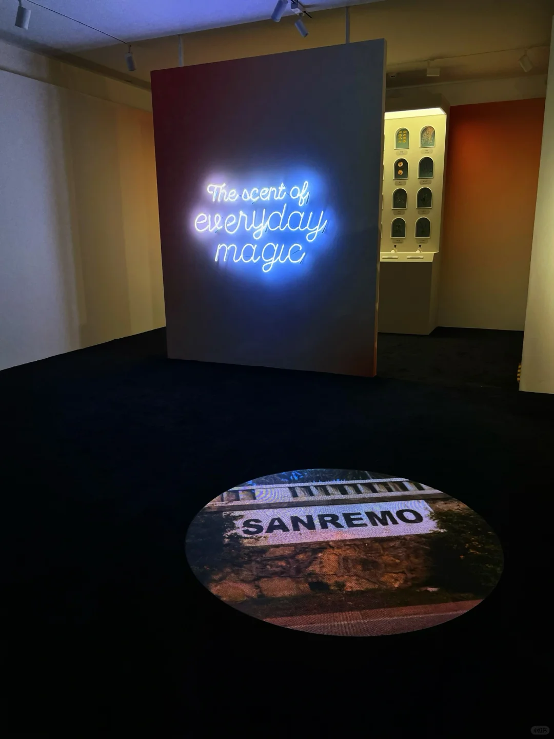 深圳新展｜免费?！！超级出片！（附机位