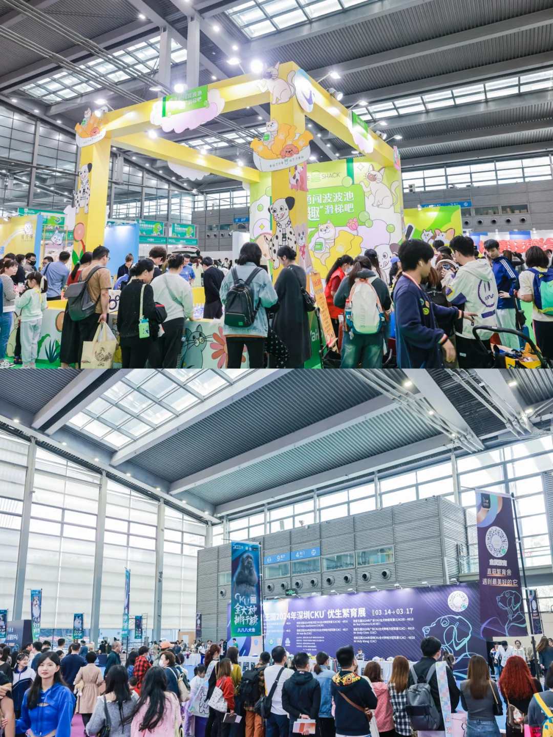 疯了疯了！13届深宠展来了！不去后悔一整年